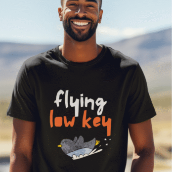 Flying Low Key