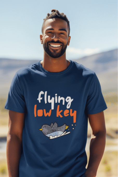 Flying Low Key - Image 2